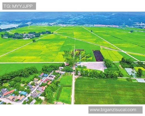 以生态保护为核心推动可持续发展实现人与自然和谐共生