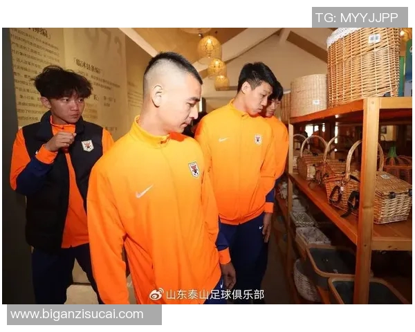 刘姓足球明星有哪些值得关注的球员及其成就分析