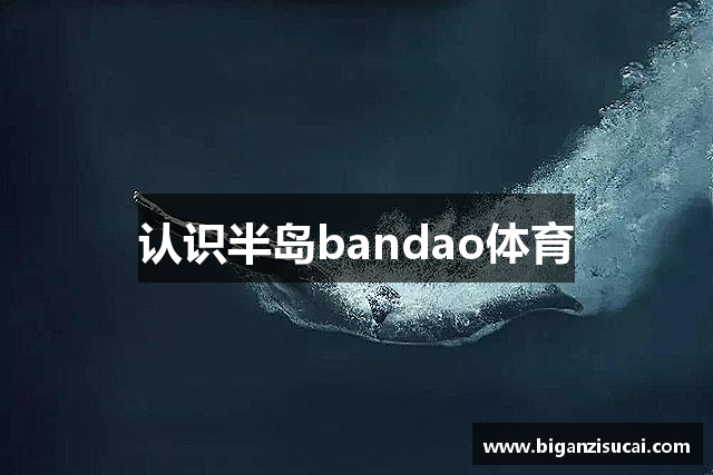 认识半岛bandao体育